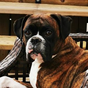 Meet your Posher, Marci